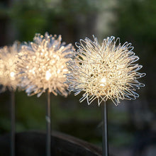 Solar LED Dandelion Lights 